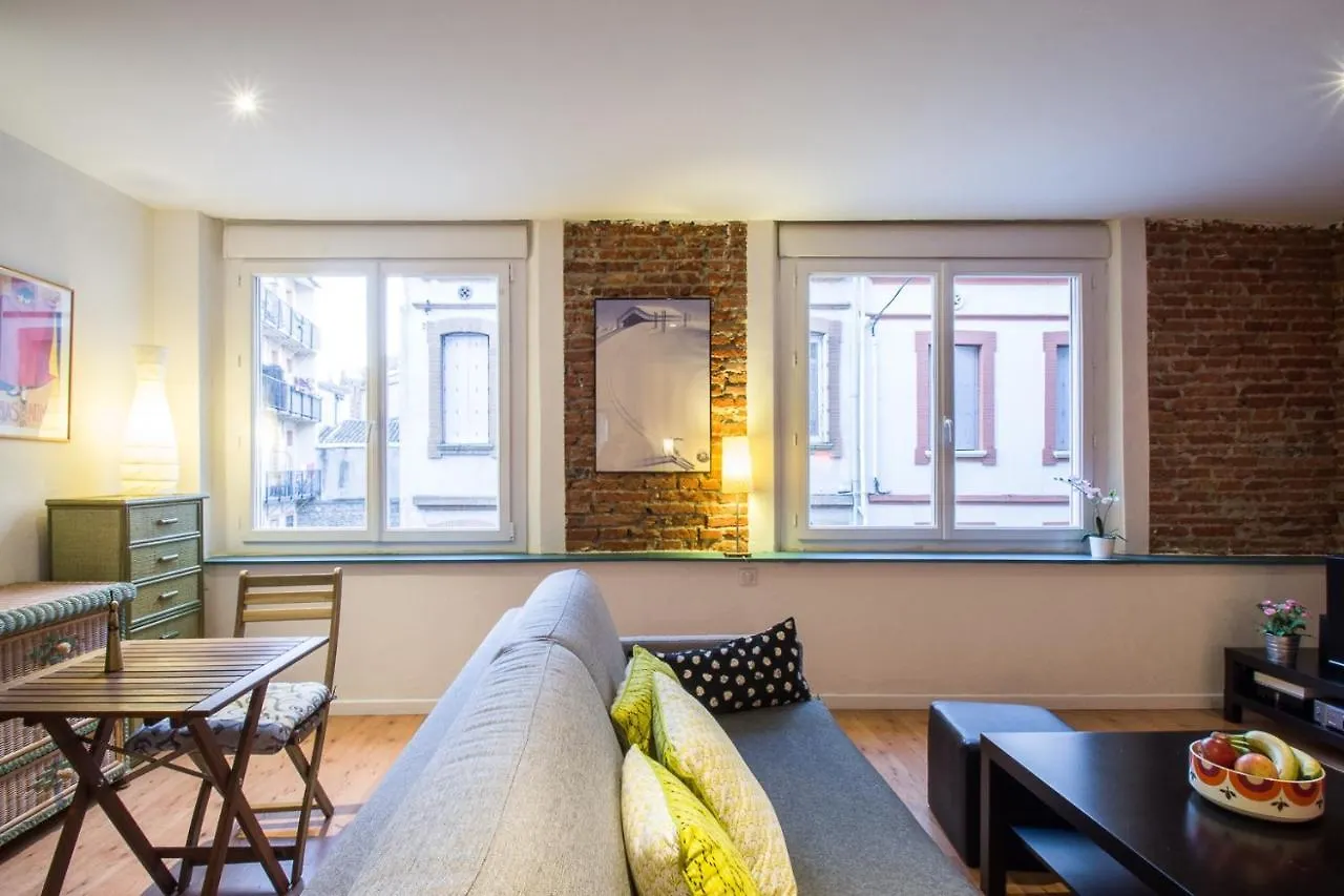 Rosa Bonheur by Cocoonr Lejlighed Toulouse